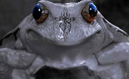 Mystic Frog